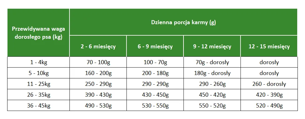 Od kiedy szczeniaki mogą jeść karmę? Kluczowe informacje i porady