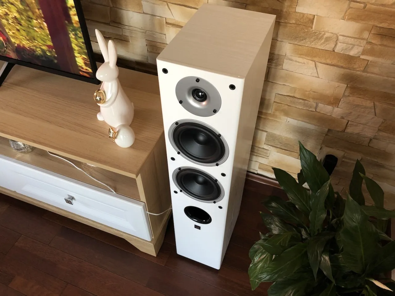 Jakie kolumny najlepiej pasują do Denon CEOL N11 dla idealnego dźwięku