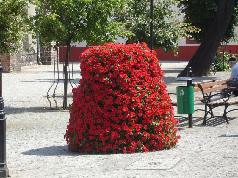 Kwietnik kaskadowy jak zrobić – uniknij najczęstszych błędów w DIY