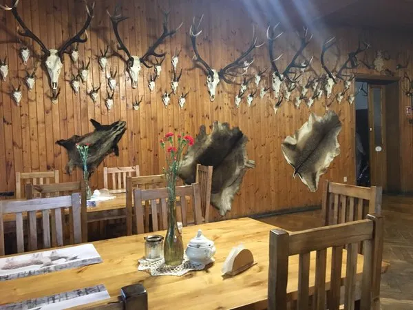 Milicz gdzie zjeść: najlepsze miejsca na pyszne jedzenie w Miliczu