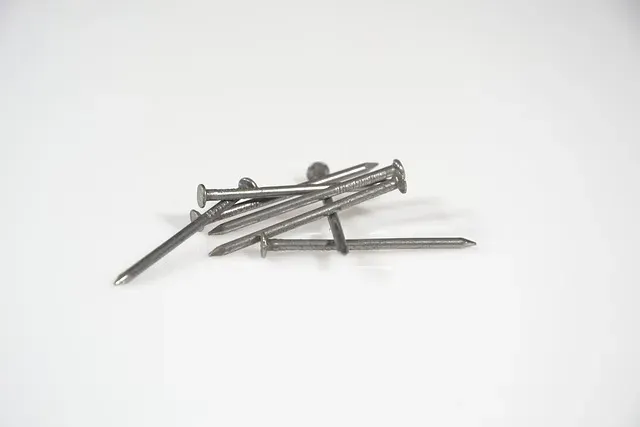 Czy można wbijać gwoździe w drzewo? Poznaj szkodliwe skutki dla zdrowia drzew