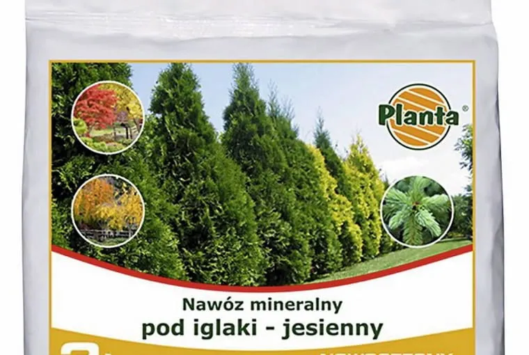 Nawóz jesienny do kiedy stosować, by rośliny przetrwały zimę?