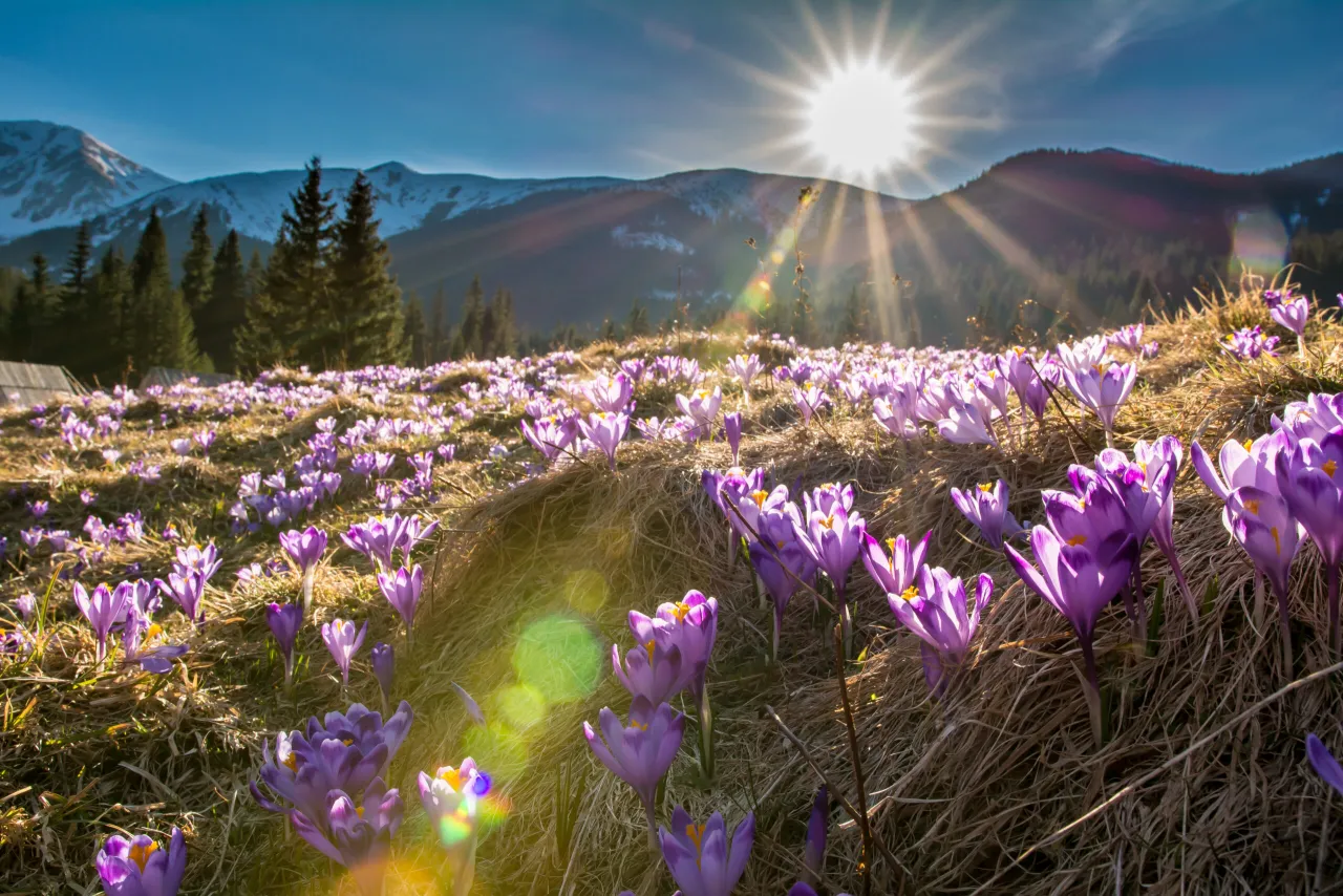 Najpiękniejsze atrakcje Tatr, które musisz zobaczyć podczas wizyty