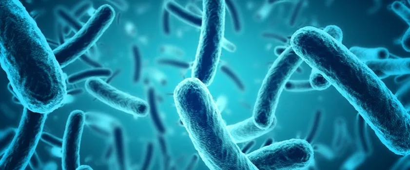 Liczne bakterie w moczu: 7 zagrożeń dla ciężarnych i ich dzieci