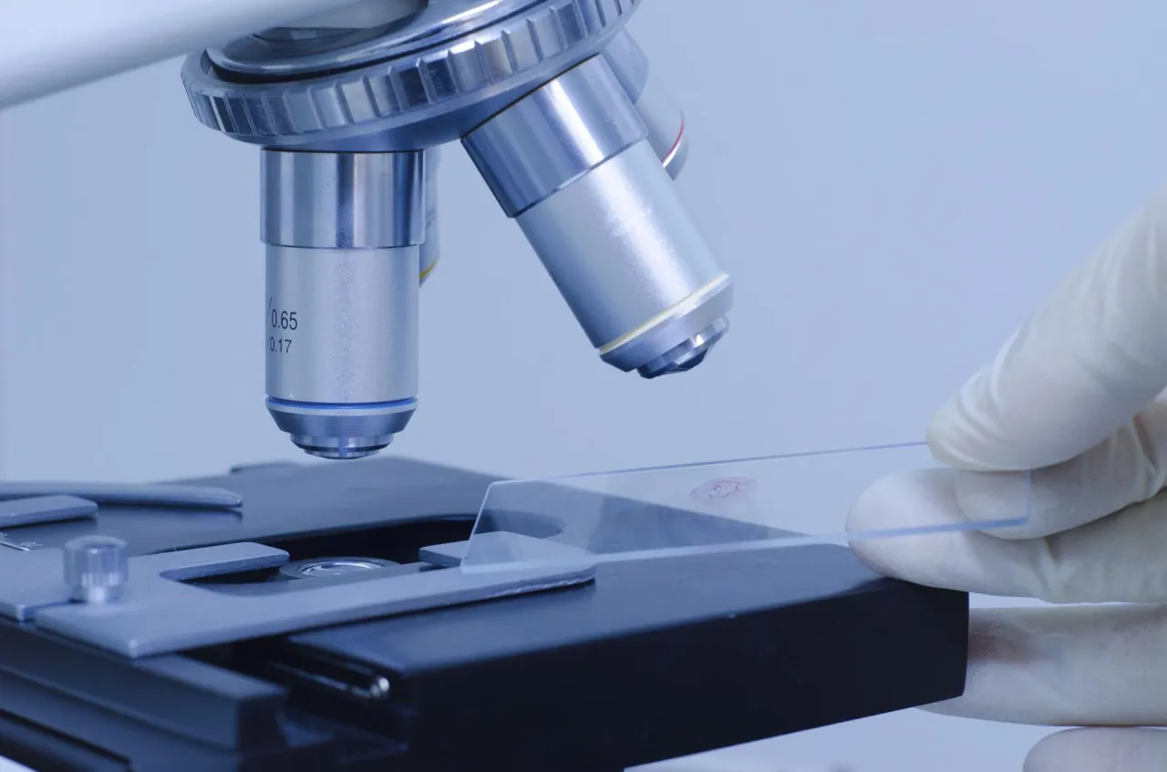 Kropla krwi pod mikroskopem: 7 tajemnic Twojej krwi odkrytych