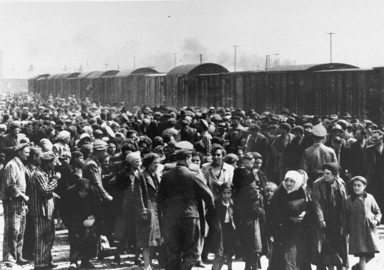 Ile osób zginęło w Auschwitz-Birkenau? Prawda o ofiarach holokaustu