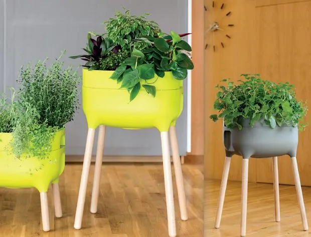 Jaki kwietnik do salonu wybierać, by ożywić wnętrze i zaoszczędzić miejsce?