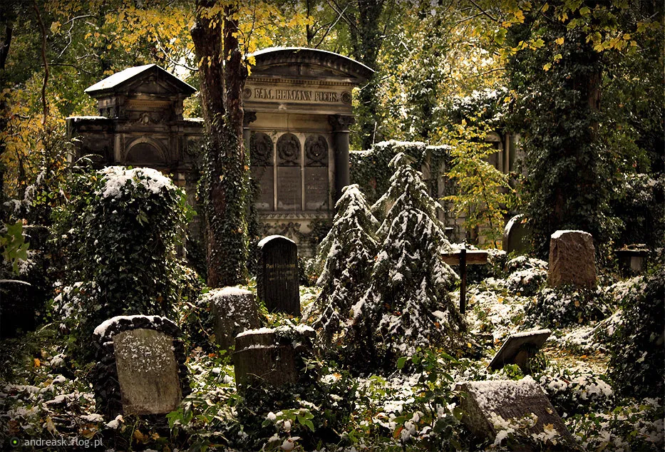 Muzeum Sztuki Cmentarnej we Wrocławiu: historia, ciekawostki i praktyczne informacje