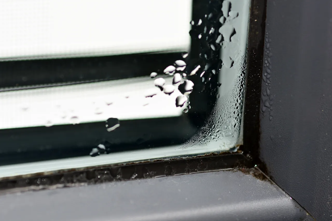 Jak usunąć pleśń z uszczelki okna - skuteczne metody i porady