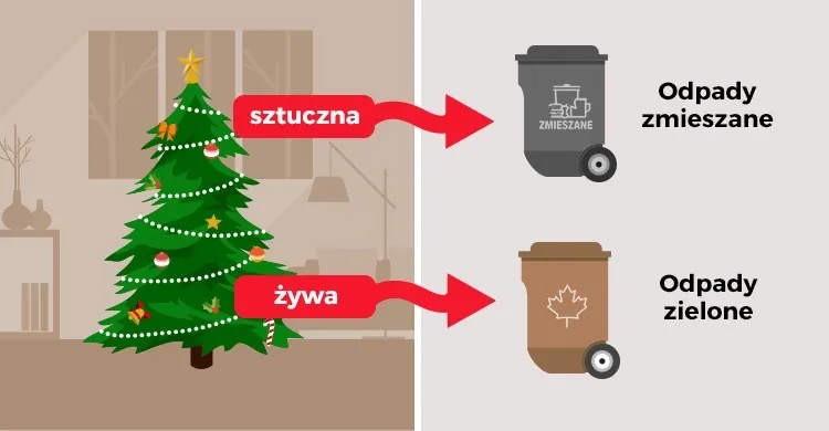 Gdzie wyrzucić choinkę po świętach, by pomóc środowisku i uniknąć problemów Gdzie wyrzucić choinkę po świętach, by pomóc środowisku i uniknąć problemów