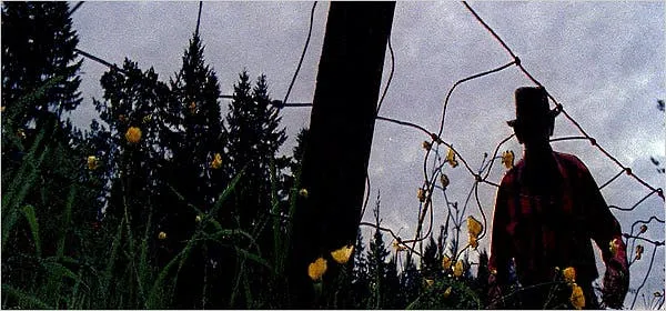 Zoofilia filmy: Jak film 'Zoo' z 2007 roku zmienił postrzeganie zoofilii w mediach