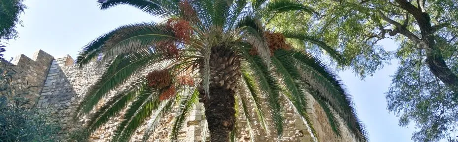 Ciepłe kraje w grudniu – gdzie uciec przed zimnem i mrozem?