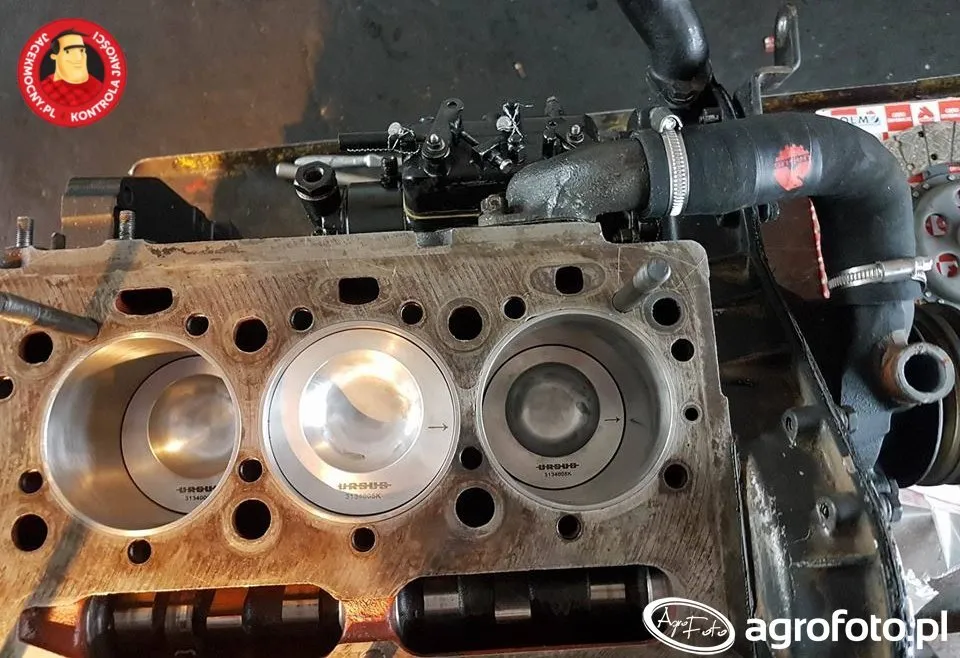 Ile naprawdę kosztuje remont silnika MF 255? Sprawdź, jak uniknąć wysokich kosztów Ile naprawdę kosztuje remont silnika MF 255? Sprawdź, jak uniknąć wysokich kosztów