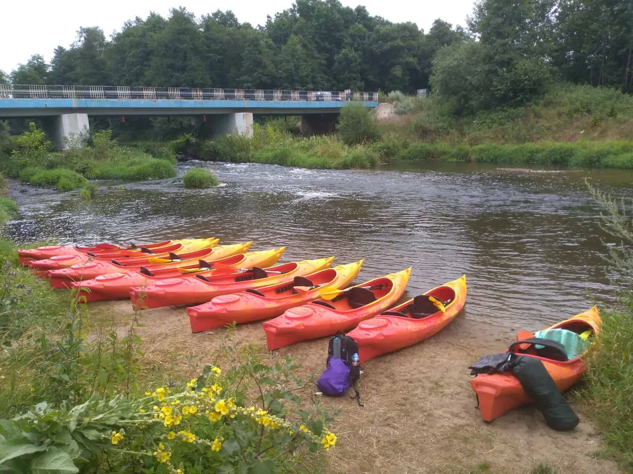 Spływy kajakowe Świętokrzyskie – najlepsze trasy i wypożyczalnie