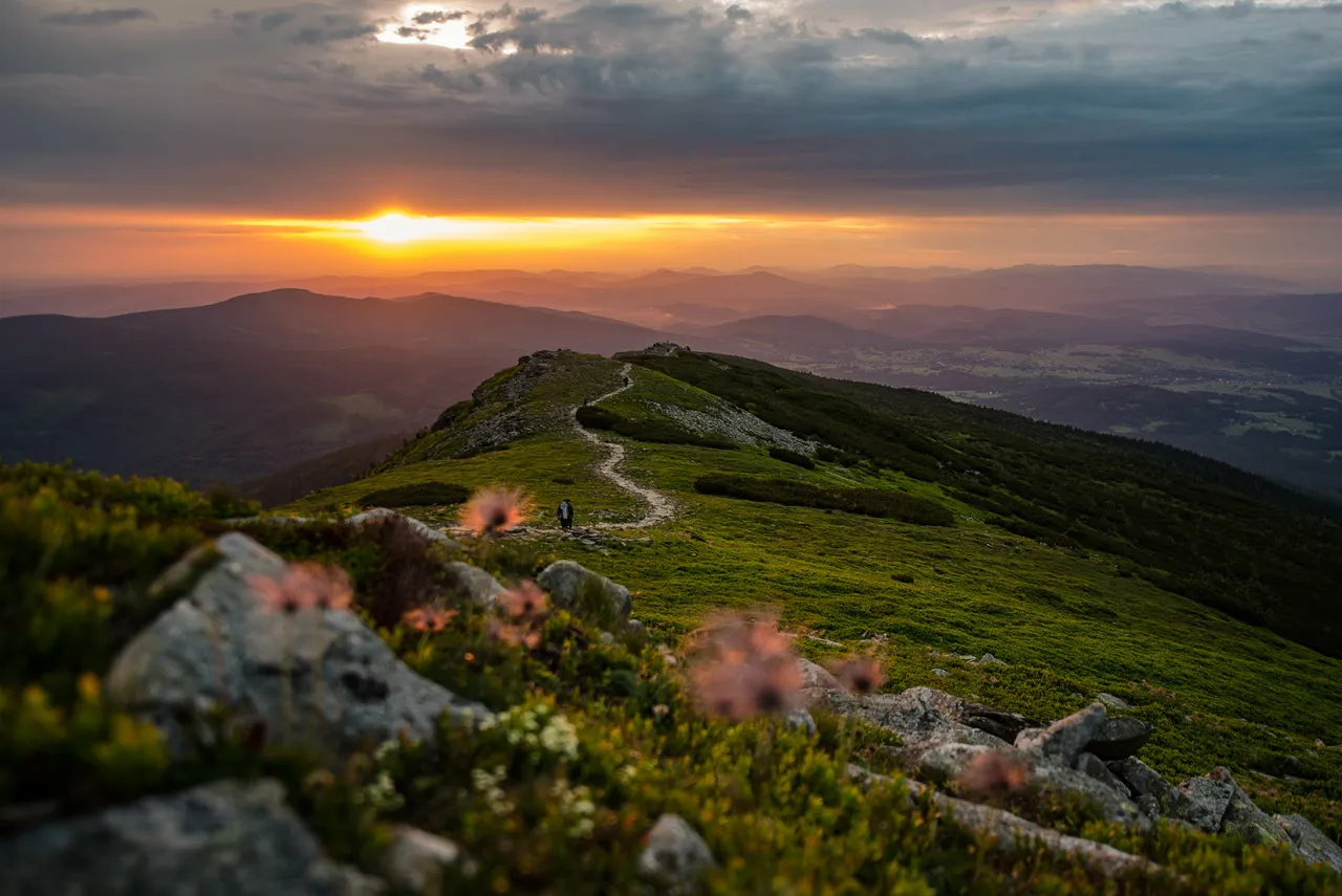 Najlepsze atrakcje w Zubrzycy Górnej, których nie możesz przegapić