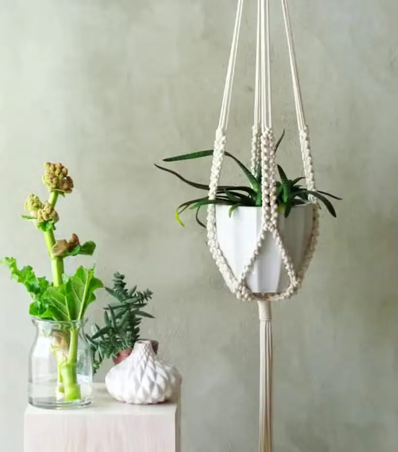 Jak zrobić kwietnik na ścianę: 5 prostych metod DIY krok po kroku