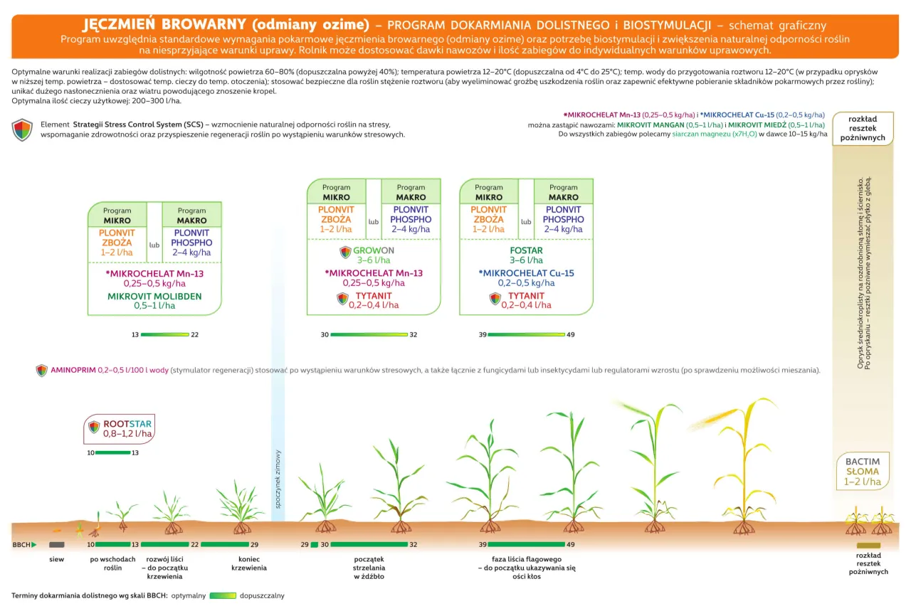 Poznaj wszystkie fazy rozwojowe jęczmienia ozimego i zaplanuj ochronę upraw