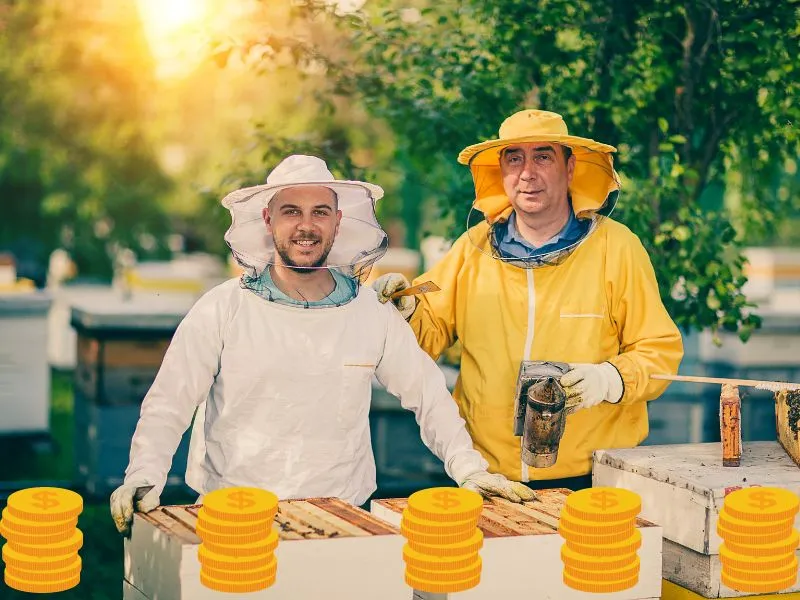 Ile można zarobić na pasiece? Kluczowe informacje, które musisz znać