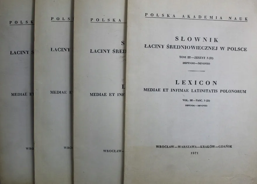 Słownik łaciny średniowiecznej: Klucz do zrozumienia tekstów historycznych