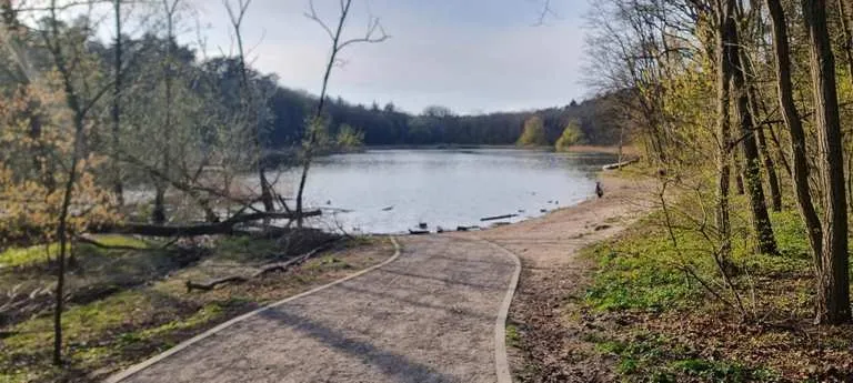 Najlepsze trasy rowerowe w Szczecinie – odkryj piękno miasta