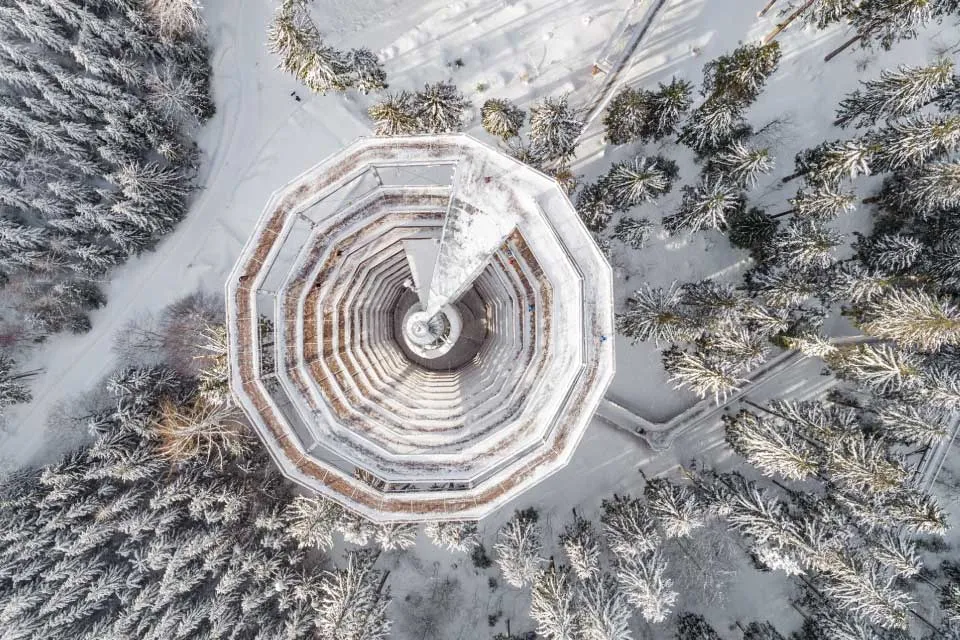 Spacer w koronach drzew Dolny Śląsk - niezapomniane wrażenia w naturze