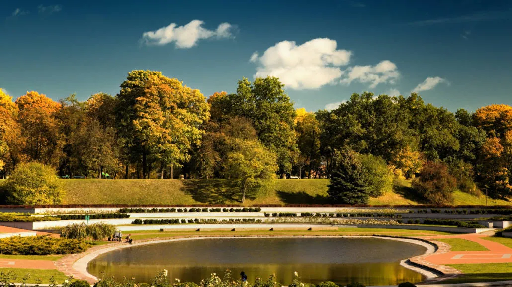 Gdzie z psem na spacer w Poznaniu? Odkryj najlepsze miejsca dla psów