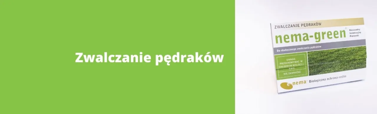 Skuteczne sposoby na zwalczenie pędraków w trawniku bez chemii