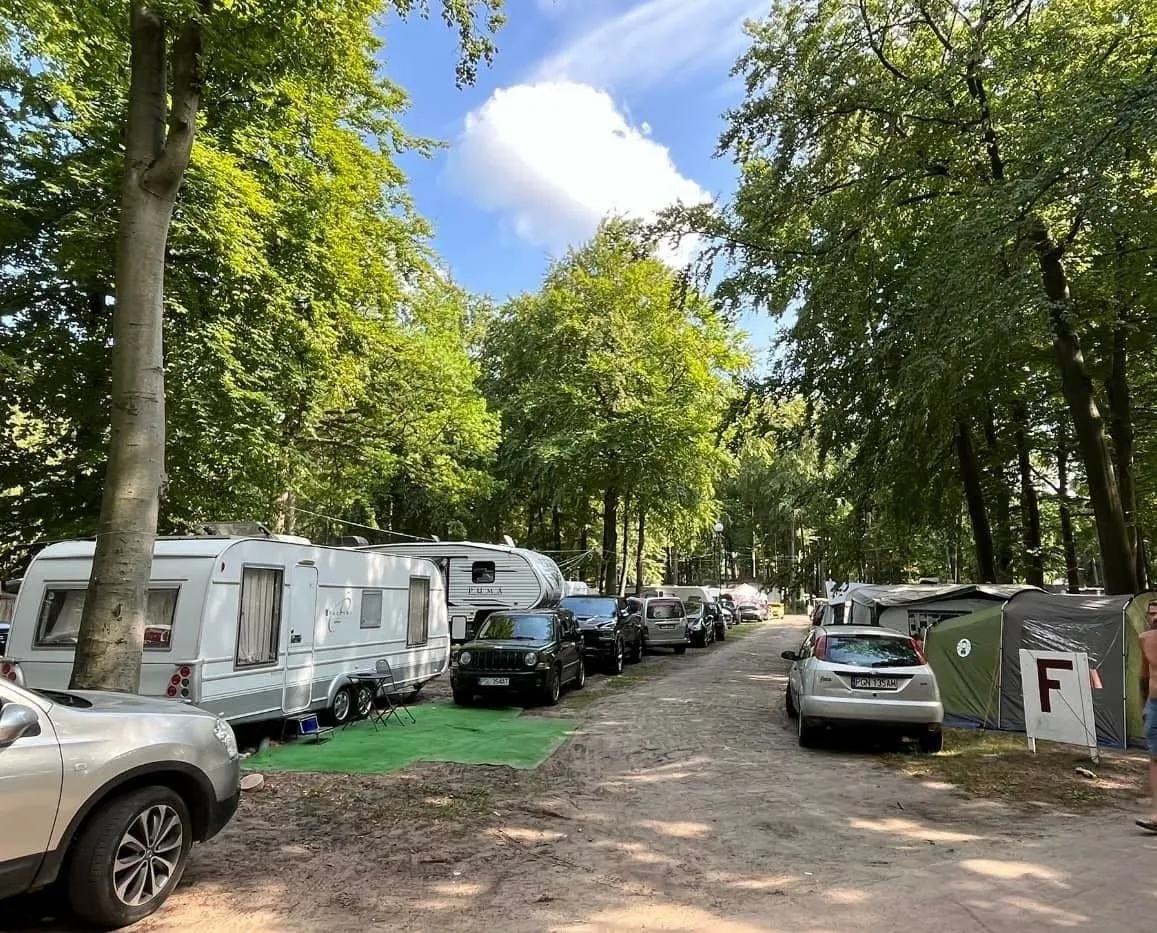 Gdzie pod namiot w Wielkopolsce? Najlepsze miejsca i porady dla biwakowiczów