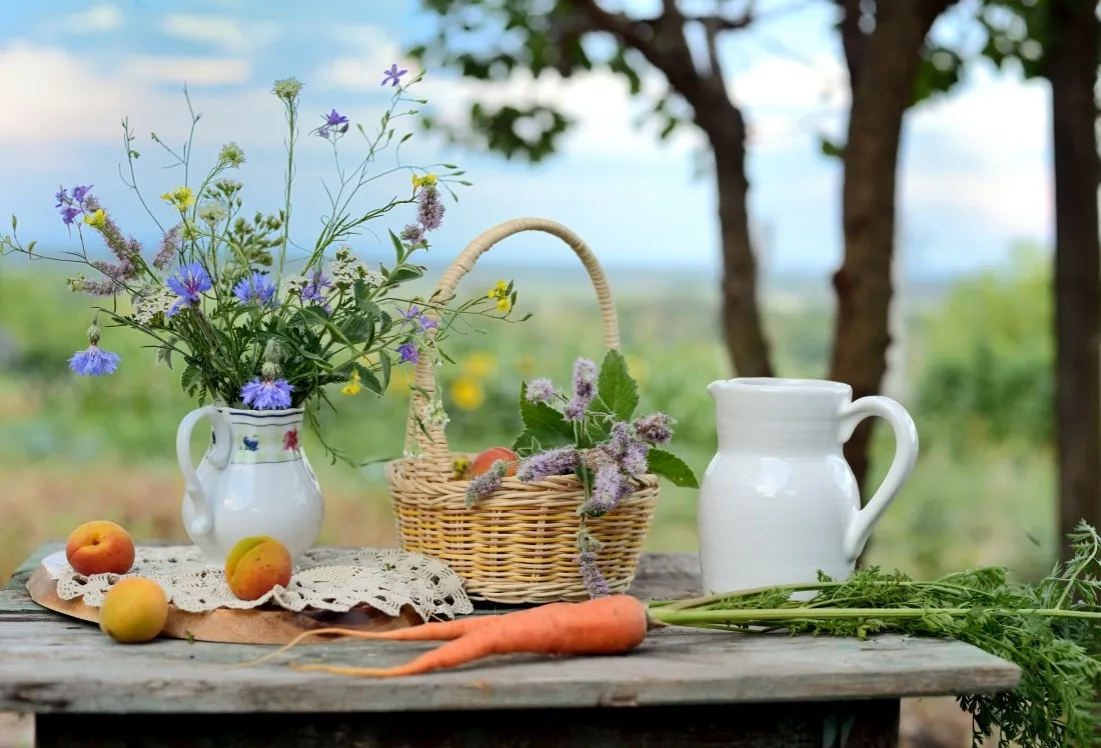 Agroturystyka czy warto? Odkryj jej ukryte zalety i wady
