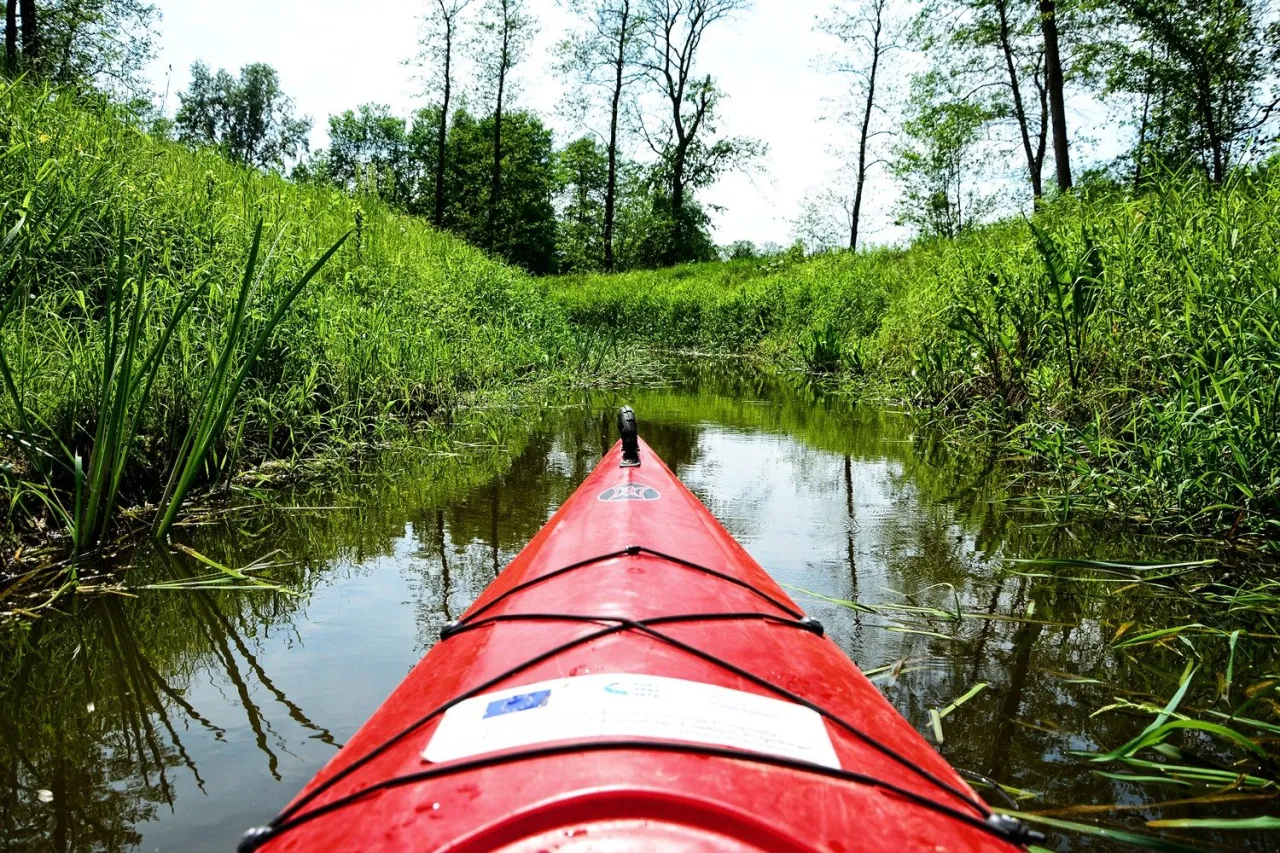 Gdzie na kajaki blisko Warszawy? Odkryj idealne trasy na spływ