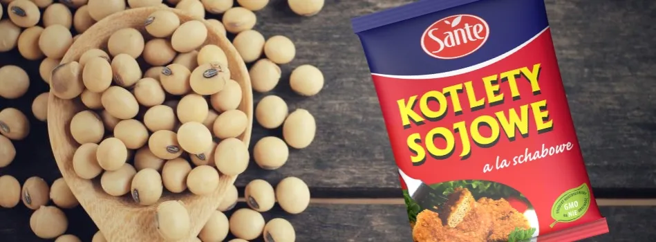 Jak przygotować kotlety sojowe, które zachwycą smakiem i prostotą