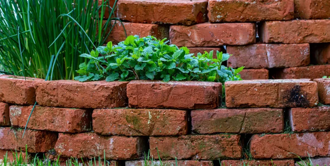 Pomysły na to, co można zrobić z cegły w ogrodzie, które zaskoczą