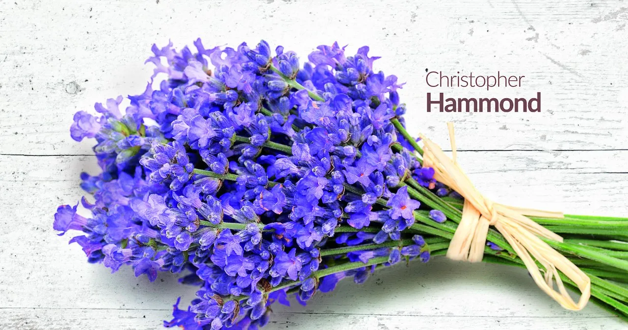 Homeopatia zdrowie i natura - Jak naturalne leczenie zmienia życie