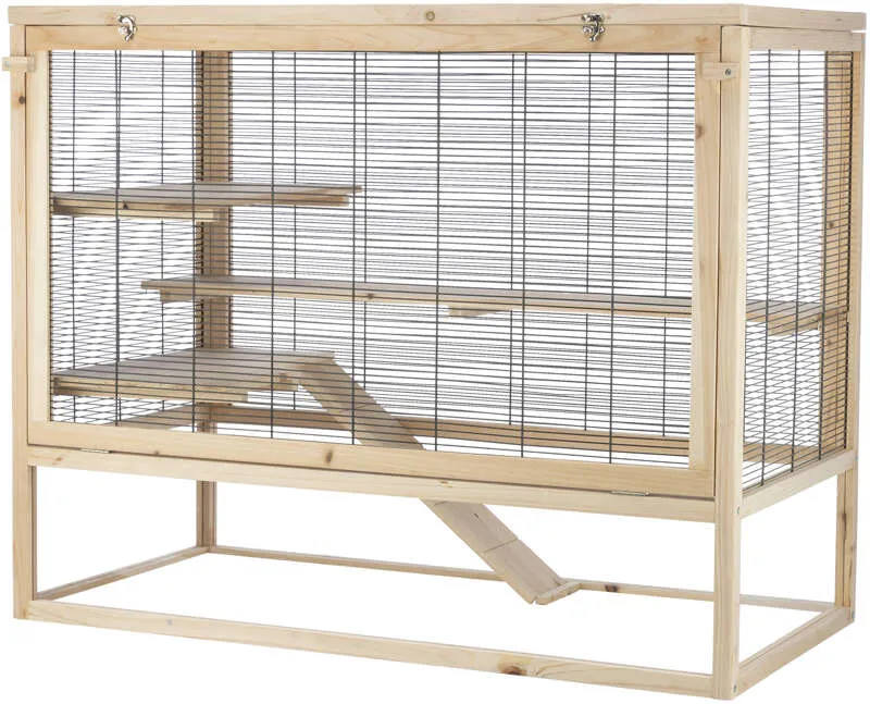 Ile kosztuje klatka dla myszy i co wpływa na jej cenę? Odpowiedzi znajdziesz!