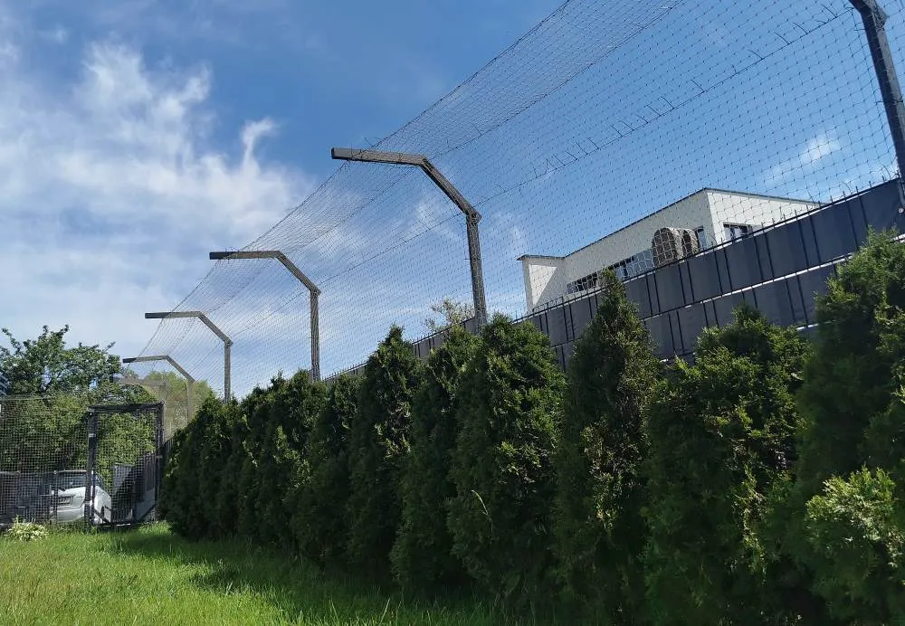 Jak zabezpieczyć ogród dla kota: skuteczne metody ochrony i bezpieczeństwa