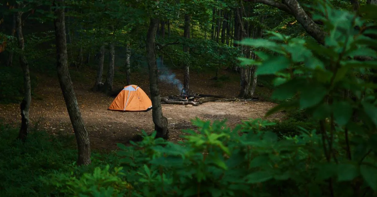 Gdzie można nocować w lesie? Odkryj najlepsze miejsca w Polsce