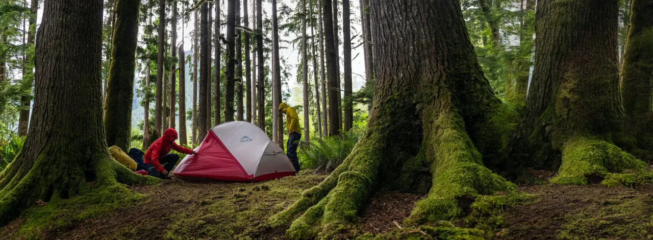 Jaki namiot wybrać? Kluczowe porady, aby uniknąć błędów przy zakupie