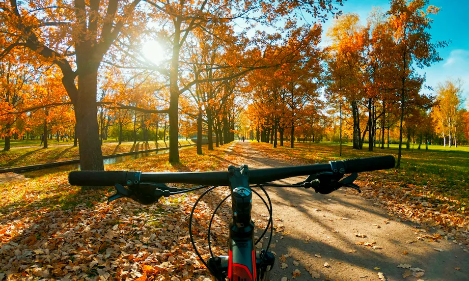 Dlaczego jesienią nie warto rezygnować z rowerowych wycieczek?