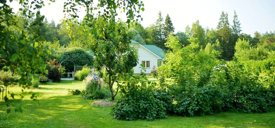 Jakie drzewa sadzić na osiedlach, aby uniknąć problemów w przyszłości?