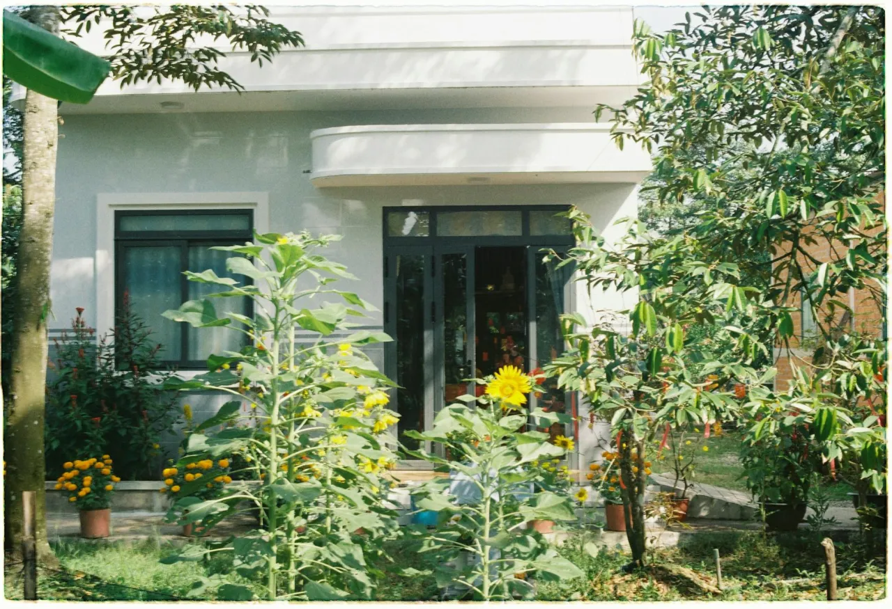 Jak stylowo połączyć wnętrze domu z ogrodem?