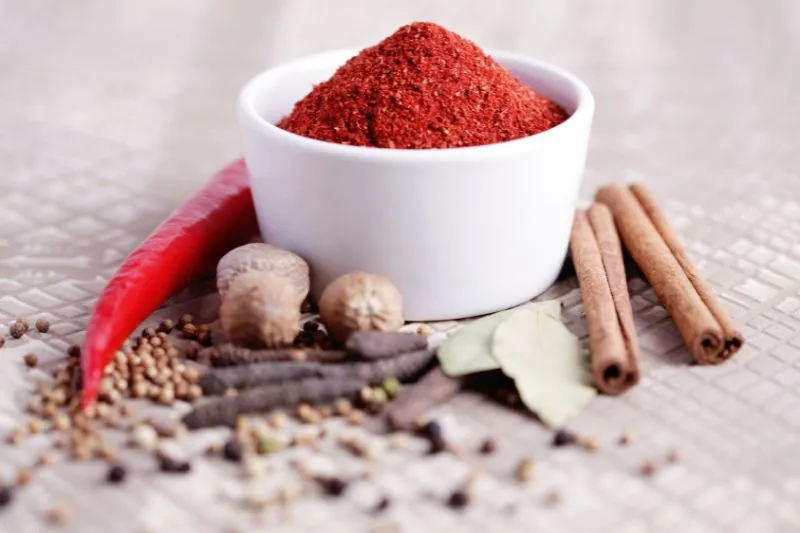 Tandoori masala do czego? Odkryj pyszne przepisy na dania!