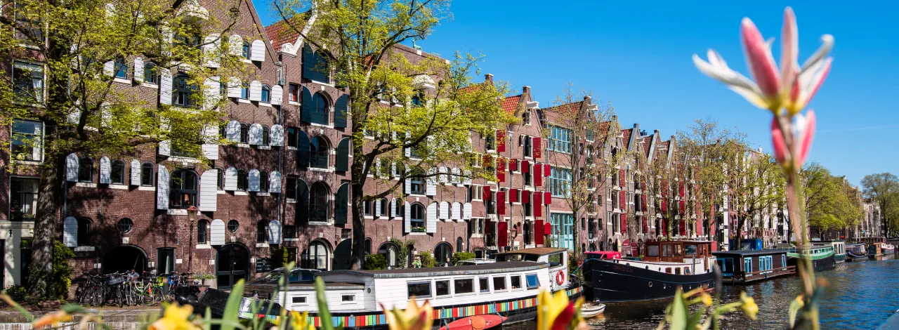 Amsterdam poza utartym szlakiem: 7 nieodkrytych zakątków holenderskiej stolicy