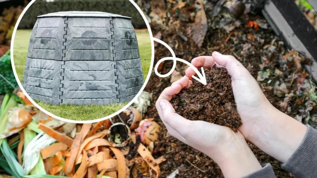 Kompost jesienią czy wiosną: Kiedy warto zacząć kompostowanie?