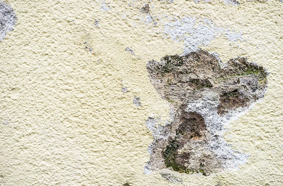 Jak naprawić dziurę w elewacji: prosty poradnik krok po kroku 2025