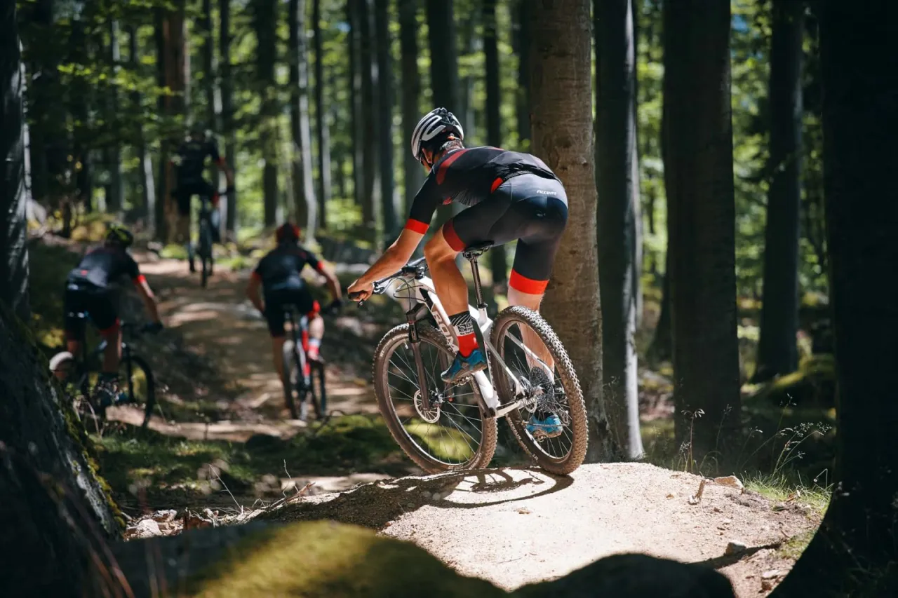 Jaki rower do lasu? Odkryj najlepsze modele do jazdy w terenie