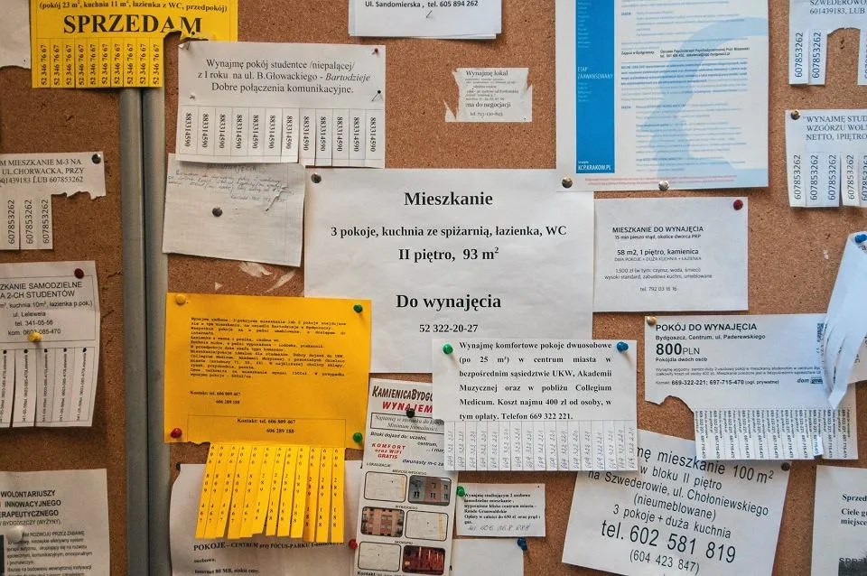 Gdzie zamieścić darmowe ogłoszenie o wynajmie mieszkania, aby szybko znaleźć najemców