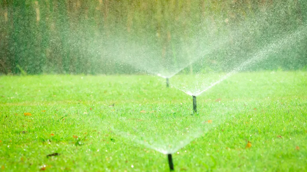 Jak rozmieścić zraszacze w ogrodzie, aby uniknąć nadmiernego podlewania