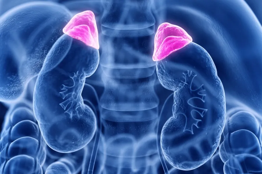 Objawy niskiego kortyzolu: 6 sygnałów, których nie można przeoczyć