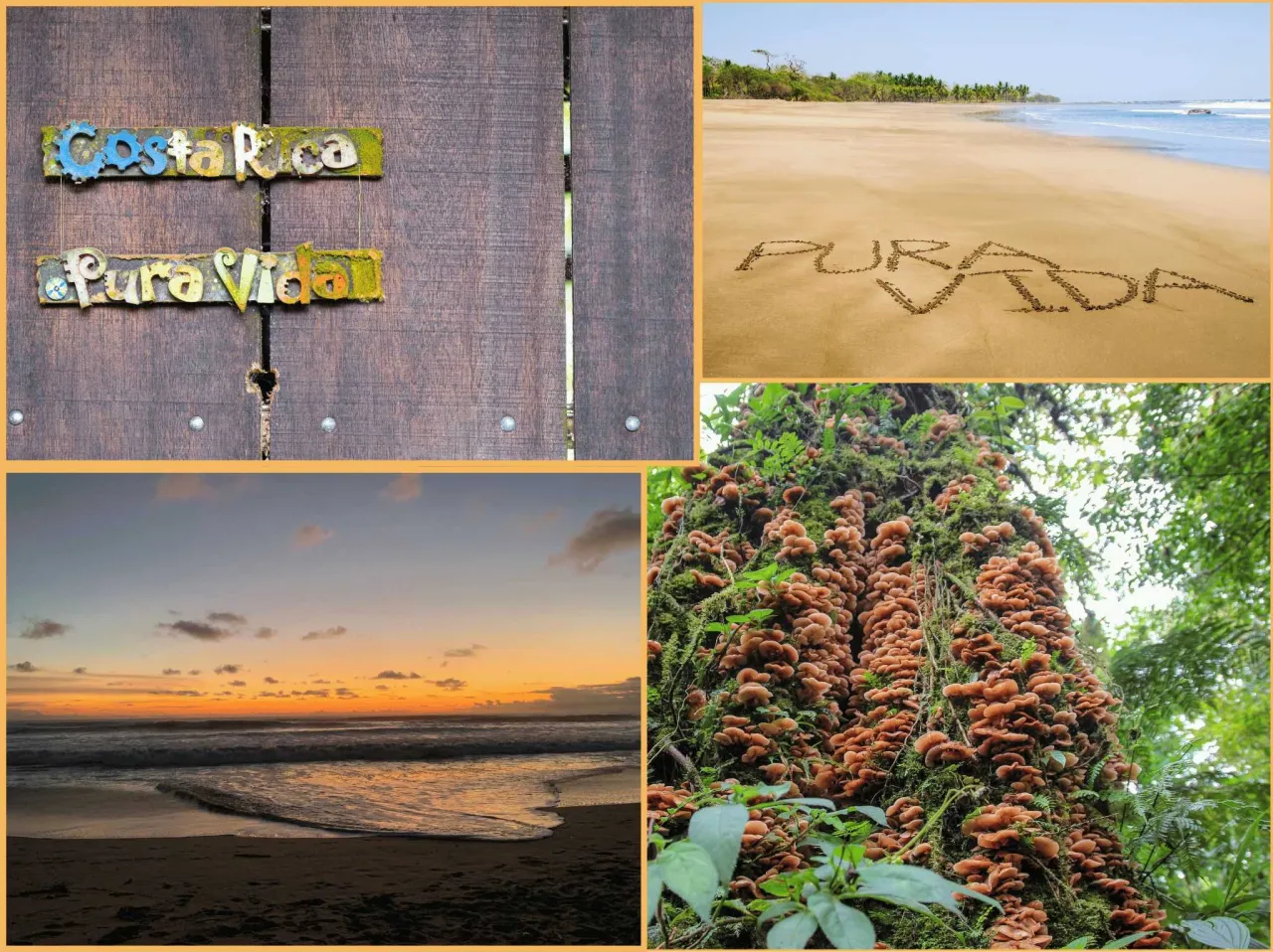 Kostaryka bezpieczna? Prawda o zagrożeniach i jak podróżować