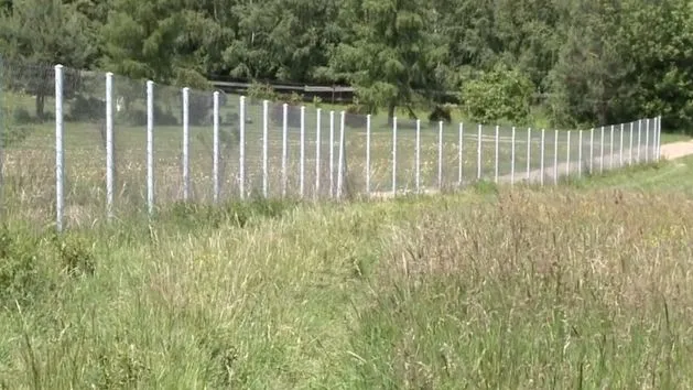 Płot sąsiada na Twojej działce? Poznaj swoje prawa i rozwiązania